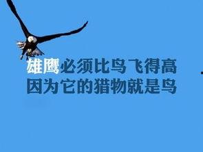 娱乐吃瓜酱励志文案图片,励志文案与高清图片的视觉盛宴