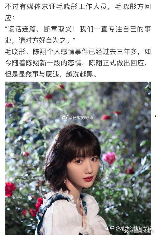 娱乐圈各种吃瓜文档
