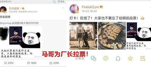 明星娱乐吃瓜直播间视频
