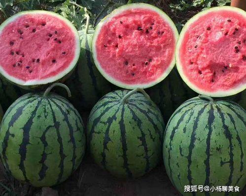 娱乐吃瓜酱不喜欢冬天,告别冬季，酱腌小黄瓜轻松制作
