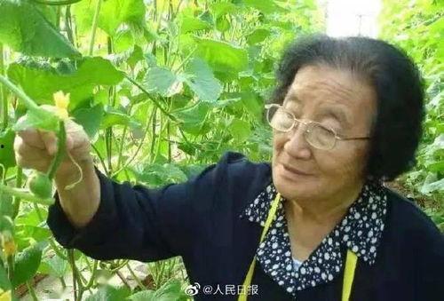 娱乐吃瓜酱不喜欢冬天,告别冬季，酱腌小黄瓜轻松制作