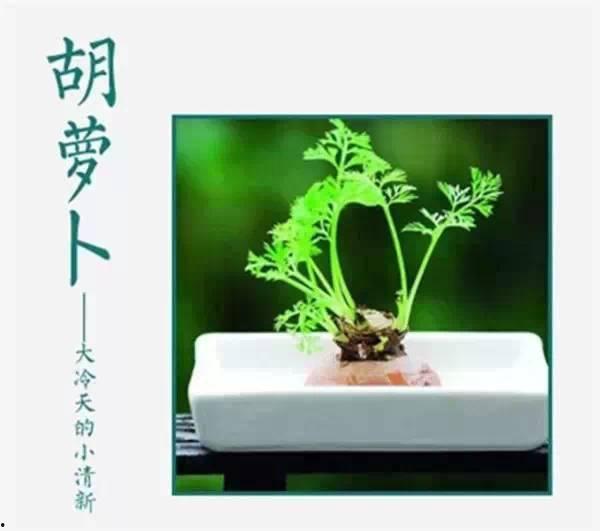 娱乐吃瓜酱姐妹审美变了,审美变迁下的时尚风向标