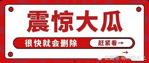 娱乐圈吃瓜 段子大全,笑料百出，揭秘明星幕后趣事