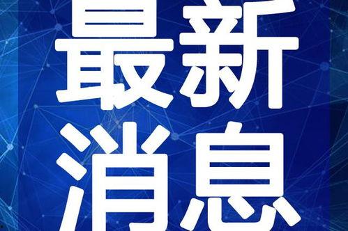 娱乐吃瓜猫咪视频大全最新,最新猫咪吃瓜视频大盘点