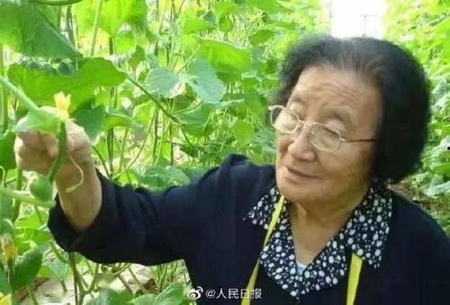 娱乐吃瓜君说二豆,二豆背后的故事与真相
