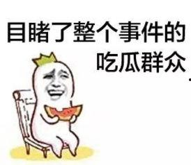 娱乐吃瓜群众模板怎么写,揭秘明星背后的故事，带你走进明星私生活