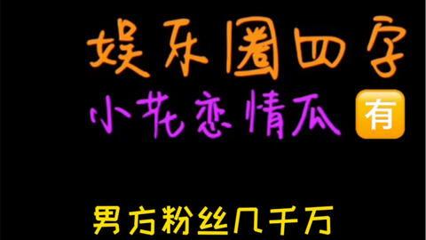 吃瓜系统娱乐圈完结,吃瓜系统全面解析