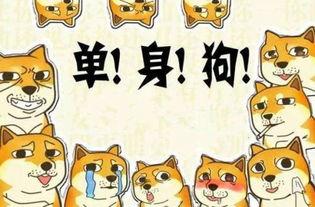 隐形式单身娱乐吃瓜酱,揭秘吃瓜酱背后的单身生活趣味