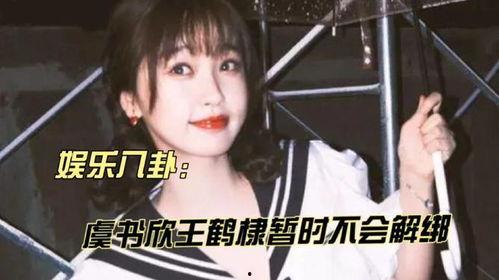 吃瓜新娱乐王鹤棣,吃瓜新娱乐，揭秘娱乐圈背后的故事