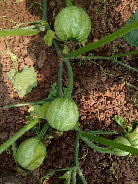 吃娱乐圈连串的瓜,揭秘明星背后的故事