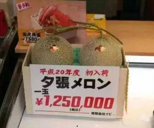 抖个大包袱娱乐吃瓜,揭秘娱乐圈幕后趣闻