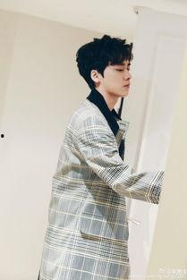 吃瓜星娱乐李易峰,吃瓜星娱乐中的璀璨明星