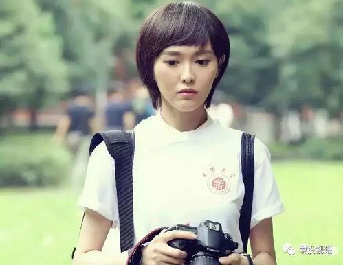 娱乐吃瓜菌王晨正,娱乐吃瓜菌王的崛起之路