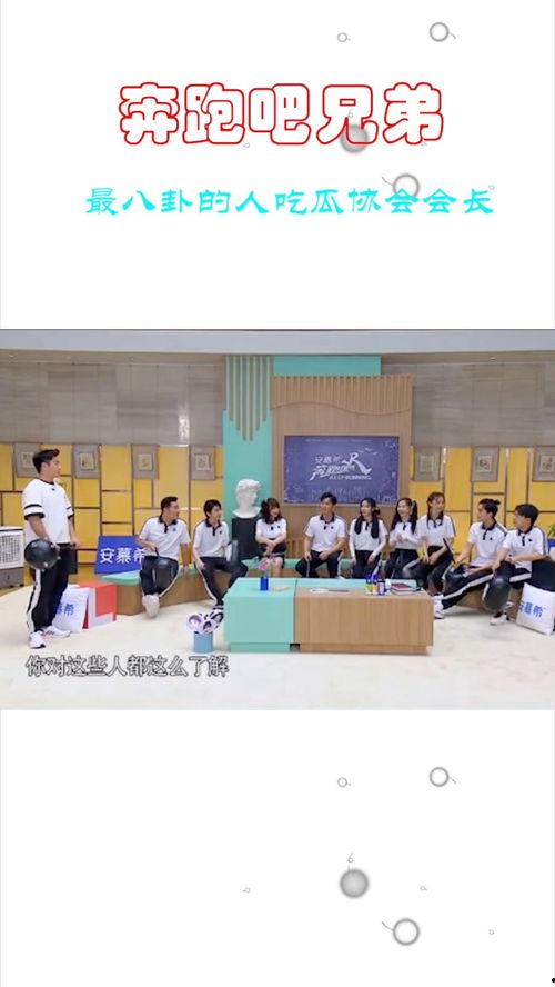 娱乐吃瓜协会会长,揭秘娱乐圈背后的秘密与真相